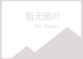 兰山区忆霜航空航天有限公司